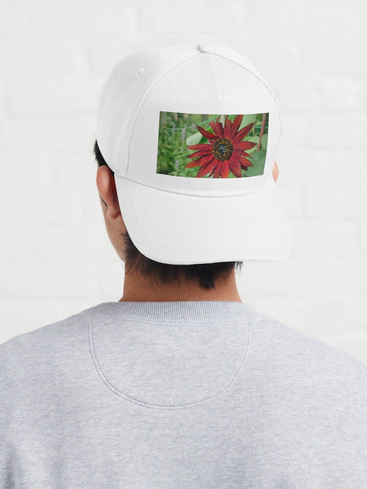 Alternative Ansicht von Dunkle Sonnenblume Cap