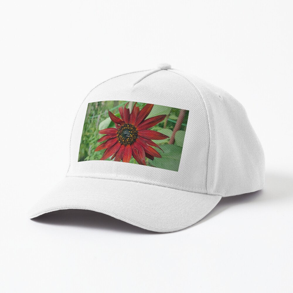 Artikel-Vorschau von Baseball Cap, designt und verkauft von Gourmetkater.