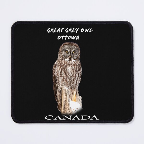 Item preview, Canadian Owl designed and sold by david parry.