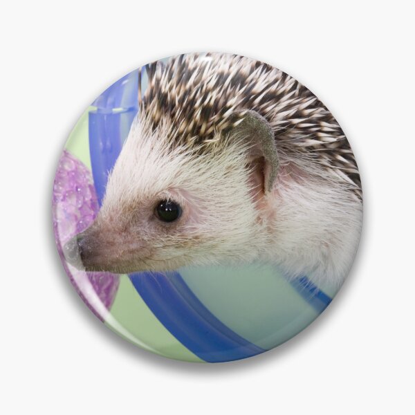 Aperçu de l'œuvre Hérisson mignon pour animaux de compagnie avec des jouets créée et vendue par ScienceSource.