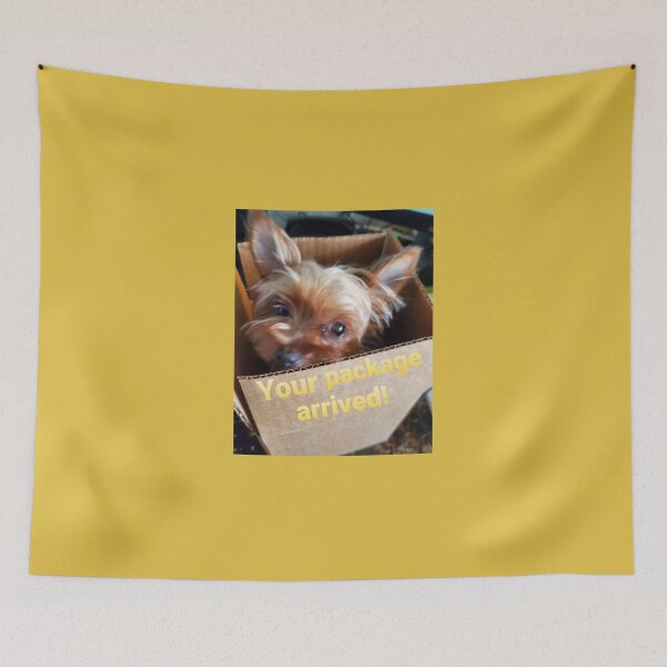 Item preview, Your package arrived? designed and sold by Fungiftshop.