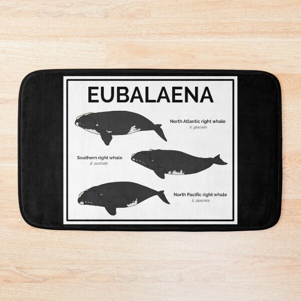 Item preview, Genus Eubalaena: Right Whales designed and sold by taylorrowan.