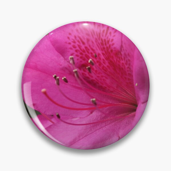 Item preview, Pink Azaleas designed and sold by 1081 Creative.