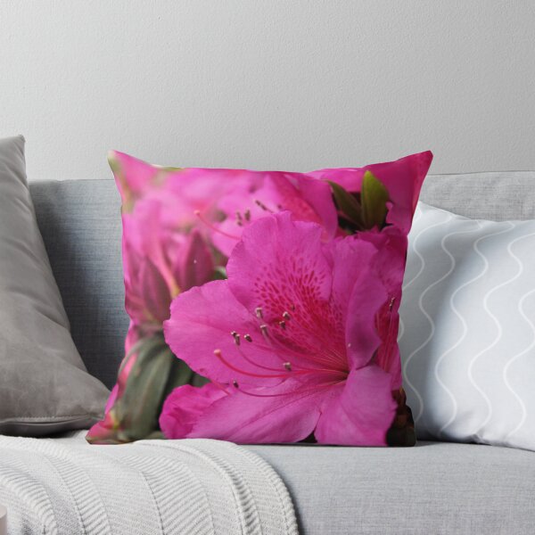 Item preview, Pink Azaleas designed and sold by 1081 Creative.