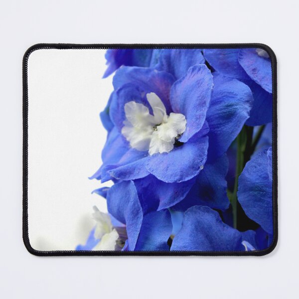 Item preview, Delphinium designed and sold by 1081 Creative.