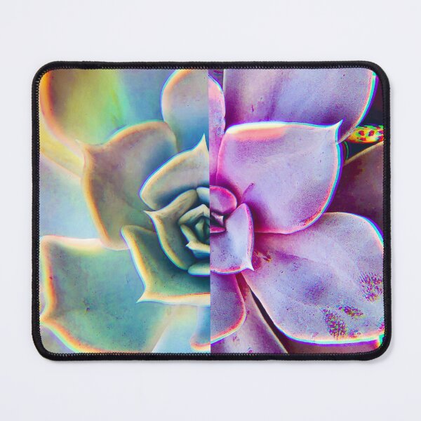 Item preview, Echeverias designed and sold by ralphpadiwhack.