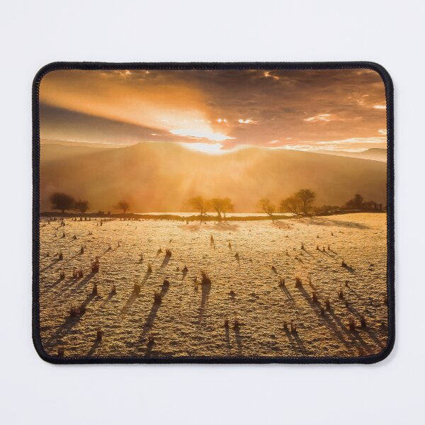 Item preview, Long early morning shadows designed and sold by Leighton Collins.