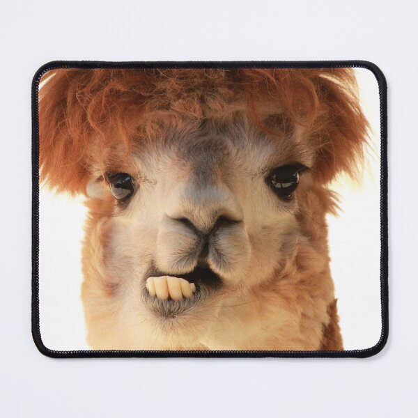Item preview, alpaca designed and sold by Dany2000.