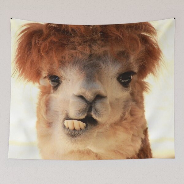 Item preview, alpaca designed and sold by Dany2000.