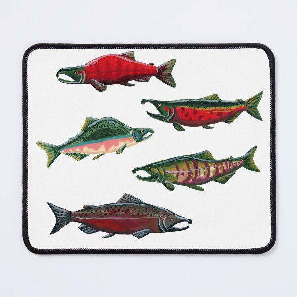 Item preview, Pacific Salmon in Gouache designed and sold by paintedpansy.
