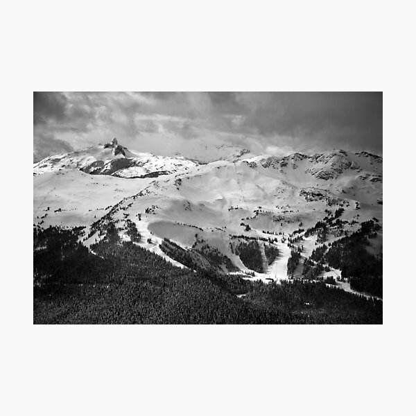 Whistler Photographic Print