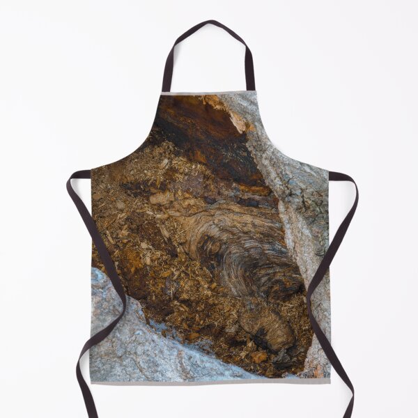 Item preview, Inside a Hollow Tree designed and sold by Bill Spengler's Photographic Thoughts.