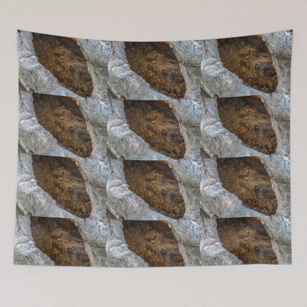 Item preview, Inside a Hollow Tree designed and sold by Bill Spengler's Photographic Thoughts.