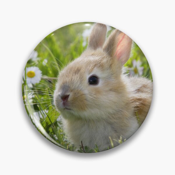 Item preview, Cute Baby Bunny Rabbit in the Grass with Daisies designed and sold by ScienceSource.