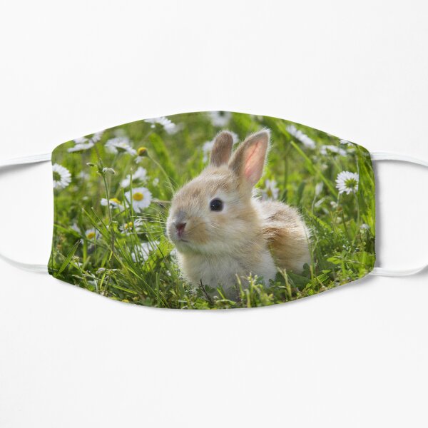 Cute Baby Bunny Rabbit in the Grass with Daisies Flat Mask