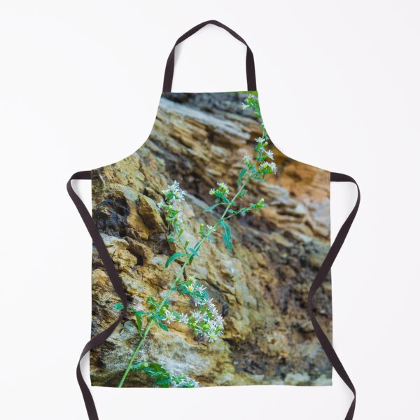 Item preview, Out of Death Comes Life Anew designed and sold by Bill Spengler's Photographic Thoughts.