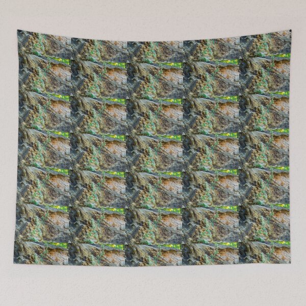 Item preview, Out of Death Comes Life Anew designed and sold by Bill Spengler's Photographic Thoughts.