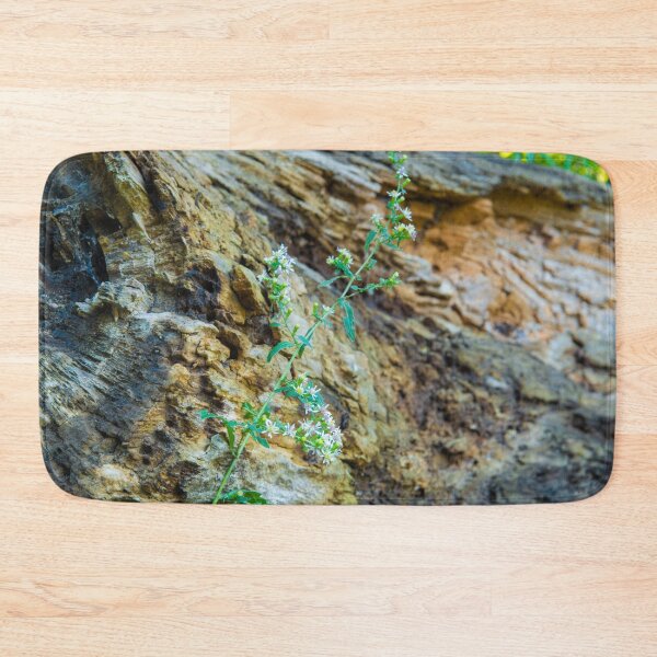 Item preview, Out of Death Comes Life Anew designed and sold by Bill Spengler's Photographic Thoughts.
