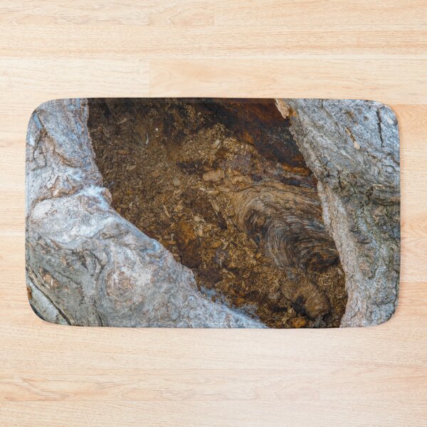 Item preview, Inside a Hollow Tree designed and sold by Bill Spengler's Photographic Thoughts.
