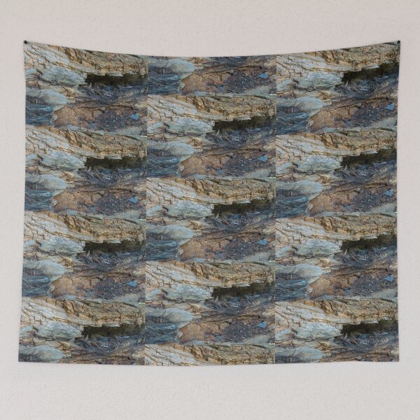 Item preview, Future Forest Compost designed and sold by Bill Spengler's Photographic Thoughts.