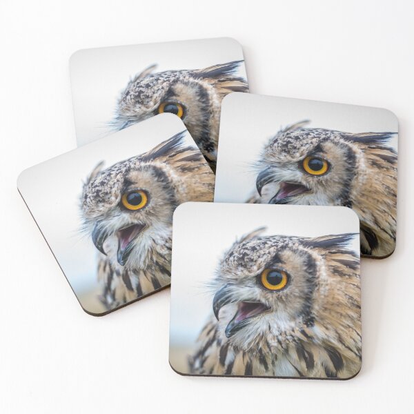 Item preview, Having a hoot! designed and sold by terryinnsphoto.