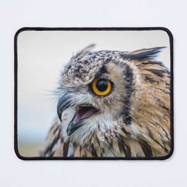Item preview, Having a hoot! designed and sold by terryinnsphoto.