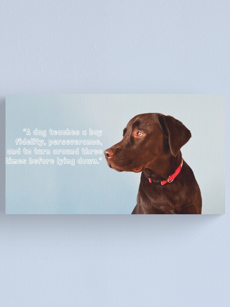 Funny quotes about dogs: “A dog teaches a boy fidelity, perseverance, and to turn around three times before lying down.”. Funny quotes about dogs: “A dog teaches a boy fidelity, perseverance, and to turn around three times before lying down.”.