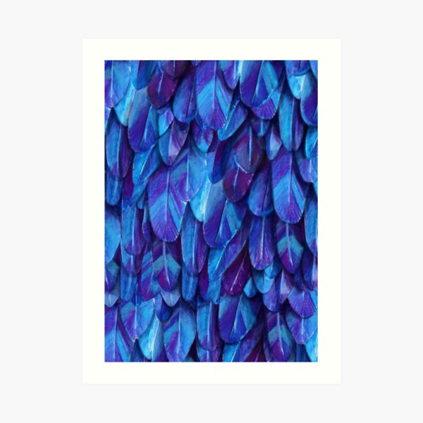 Feathers Art Print