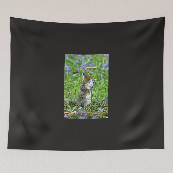 Item preview, Squirrel amongst bluebells  Sticker designed and sold by LucasSchnoor.