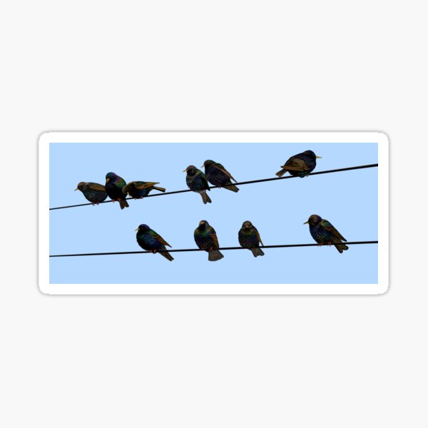 Item preview, European Starlings on a wire bird art designed and sold by smcewencote.