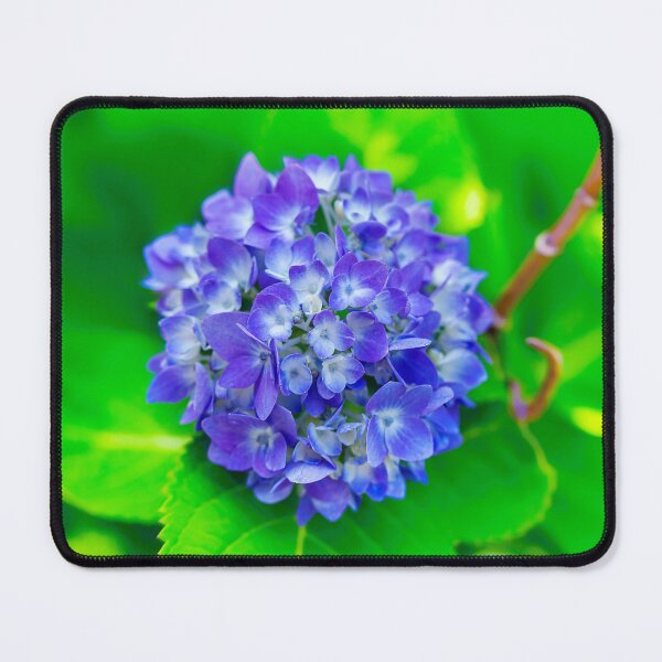 Item preview, Blue Hydrangea designed and sold by Kay Brewer.