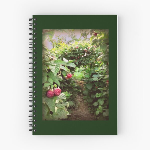 Item preview, A través de los arcos de frambuesa designed and sold by NorthernNotes.