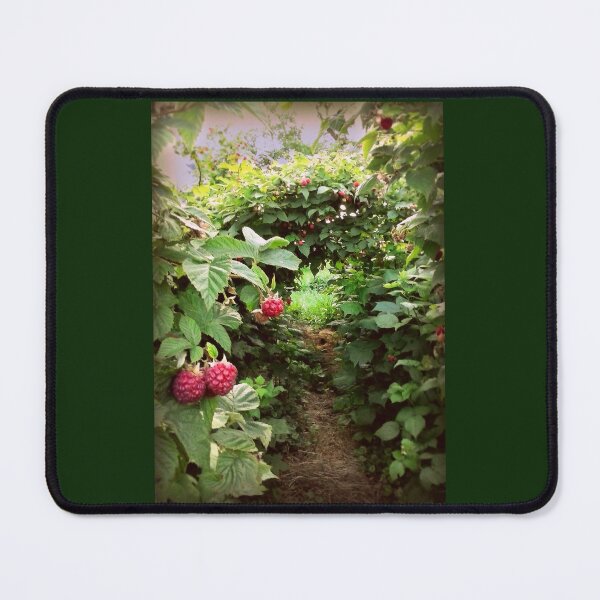 Item preview, Through the Raspberry Arches designed and sold by NorthernNotes.