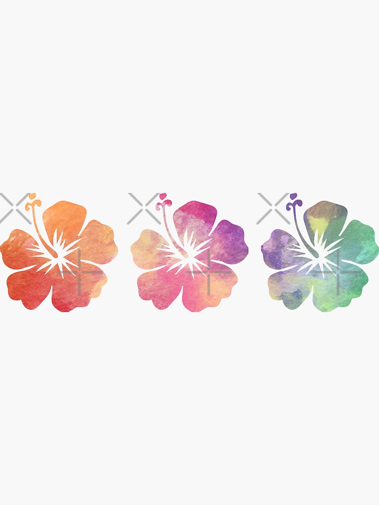 "Three Hibiscus Flowers" Sticker for Sale by Designs111 Redbubble