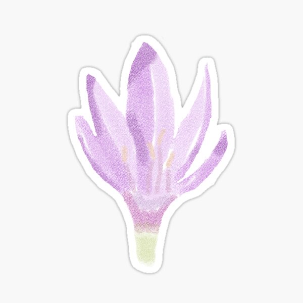 Item preview, Watercolour Meadow Saffron Flower designed and sold by sapiensfelis.