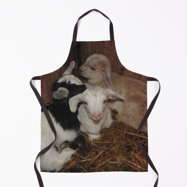 Item preview, Three baby goats designed and sold by Stephanie Skeem.
