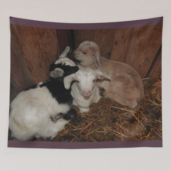 Item preview, Three baby goats designed and sold by Stephanie  Skeem.