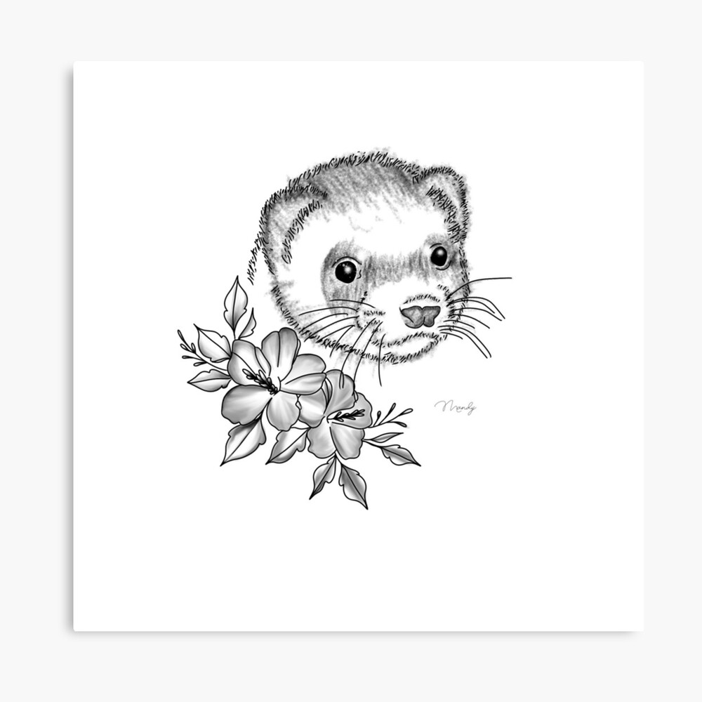 Impression photo for Sale avec l uvre Dessin de furet de l