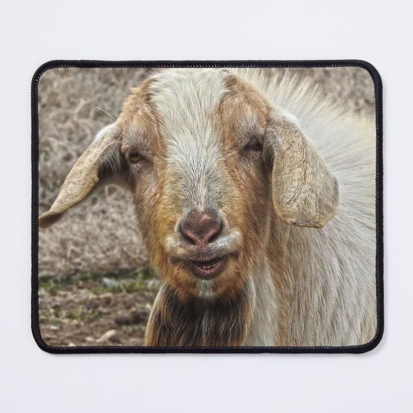 Item preview, smiling billy goat designed and sold by Stephanie  Skeem.