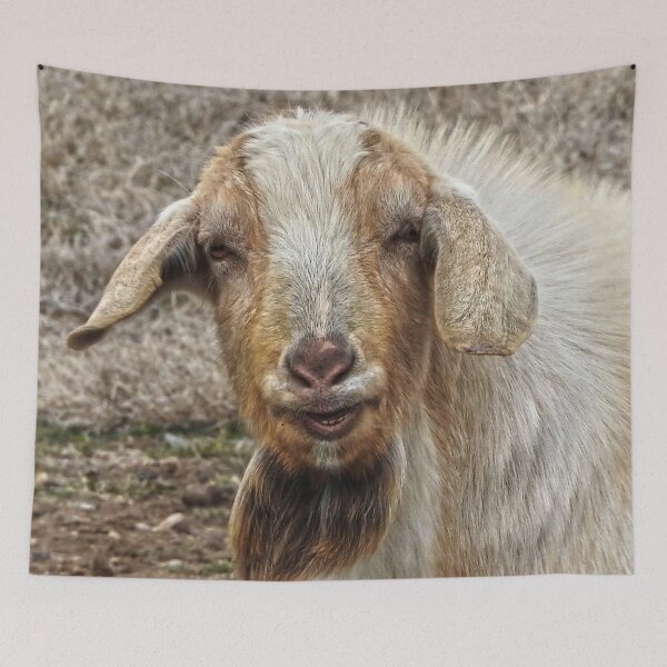 Item preview, smiling billy goat designed and sold by Stephanie  Skeem.
