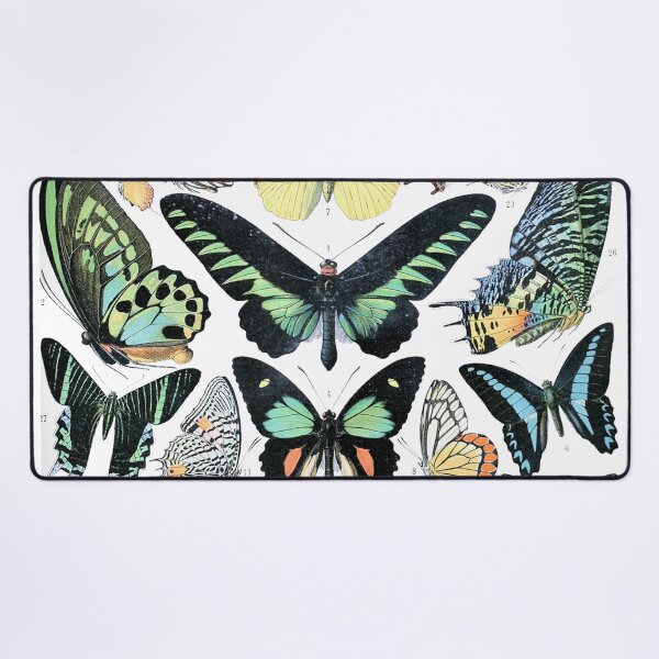 Item preview, Butterfly Species Vintage Poster designed and sold by Slydell1.