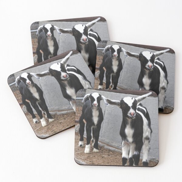 Item preview, black and white panda dairy goats designed and sold by Stephanie  Skeem.
