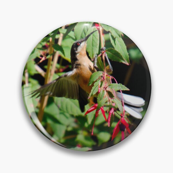Item preview, HONEYEATER ~ Eastern Spinebill by David Irwin DJIY353HK4M designed and sold by tasmanianartist.