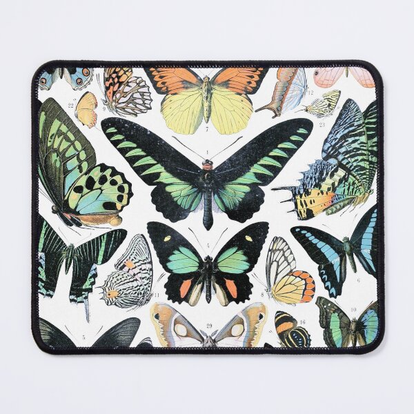 Item preview, Butterfly Species Vintage Poster designed and sold by Slydell1.