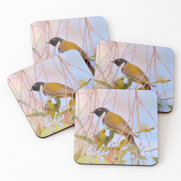 HONEYEATER ~ Black-headed Honeyeater by David Irwin DJINUMDPRC9 Coasters (Set of 4)