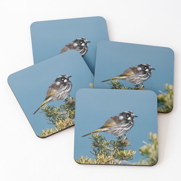 Item preview, HONEYEATER ~ New Holland Honeyeater by David Irwin DJITRD5CKUD designed and sold by tasmanianartist.