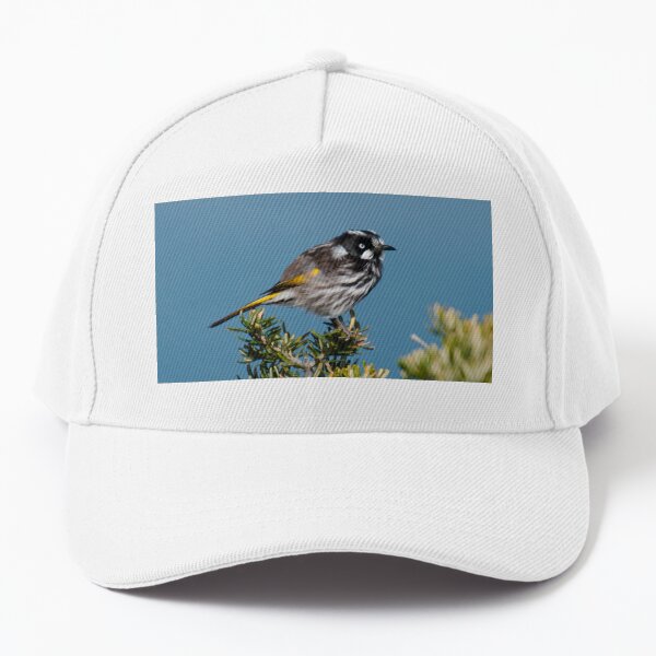 HONEYEATER ~ New Holland Honeyeater by David irwin DJITRD5CKUD Baseball Cap