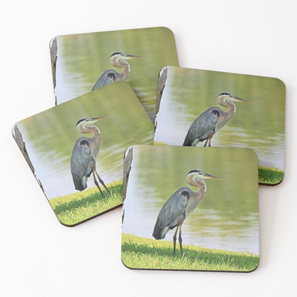 Item preview, Backyard Bandit  designed and sold by Michiale.