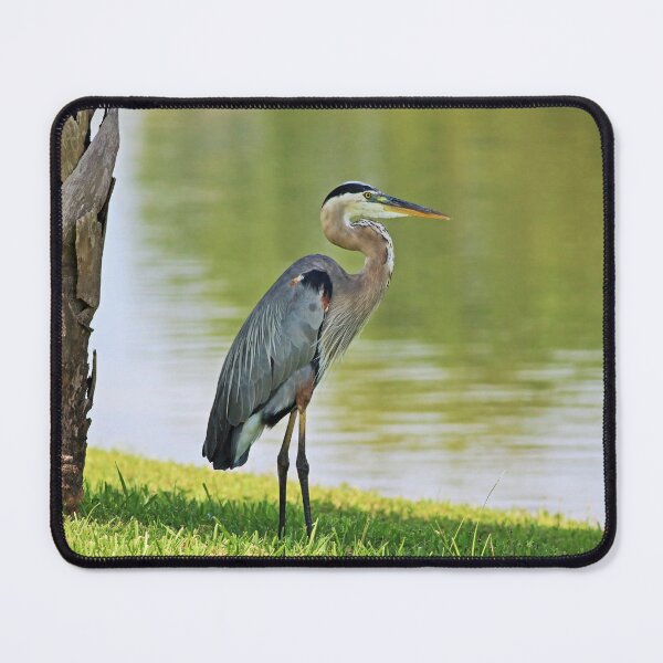 Item preview, Backyard Bandit designed and sold by Michiale.