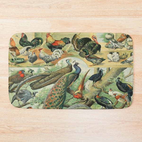 Item preview, Adolphe Millot Oiseaux C - Vintage Birds By Millot Enhanced Reproduction designed and sold by molamode.